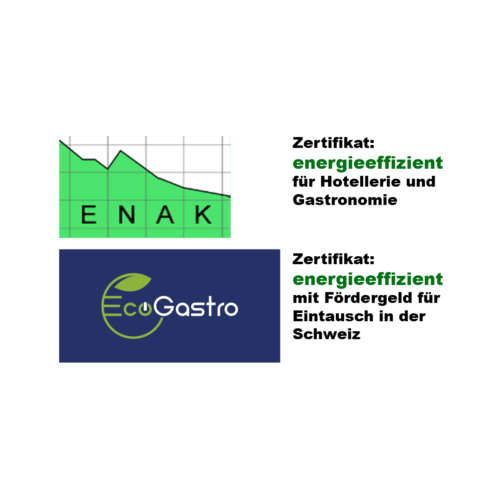 f 300 elektronik 2
